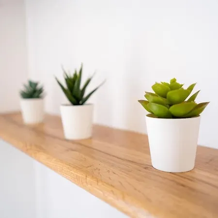 La Maison Vermeil - Grande Maison Moderne à *